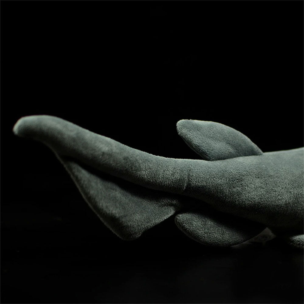 Frilled Shark Plush | Citrus Reef