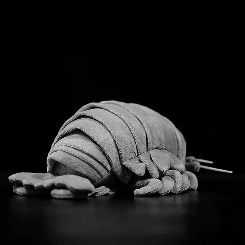 Isopod plush online