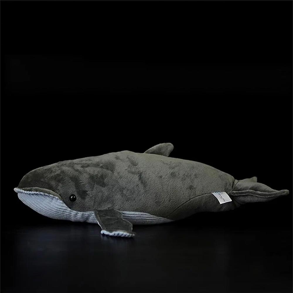 Humpback Whale Plush | Citrus Reef