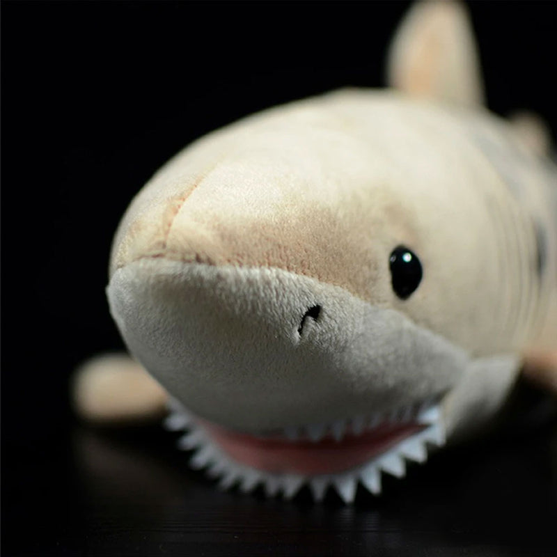 Face of Sand Tiger Shark Plush