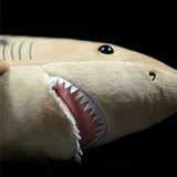 Underneath Sand Tiger Shark Plush