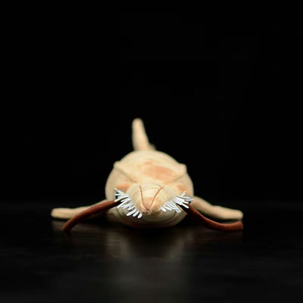 Sawshark Plush - front view