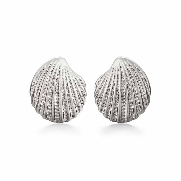 Buy Scallop Shell Online in Hong Kong